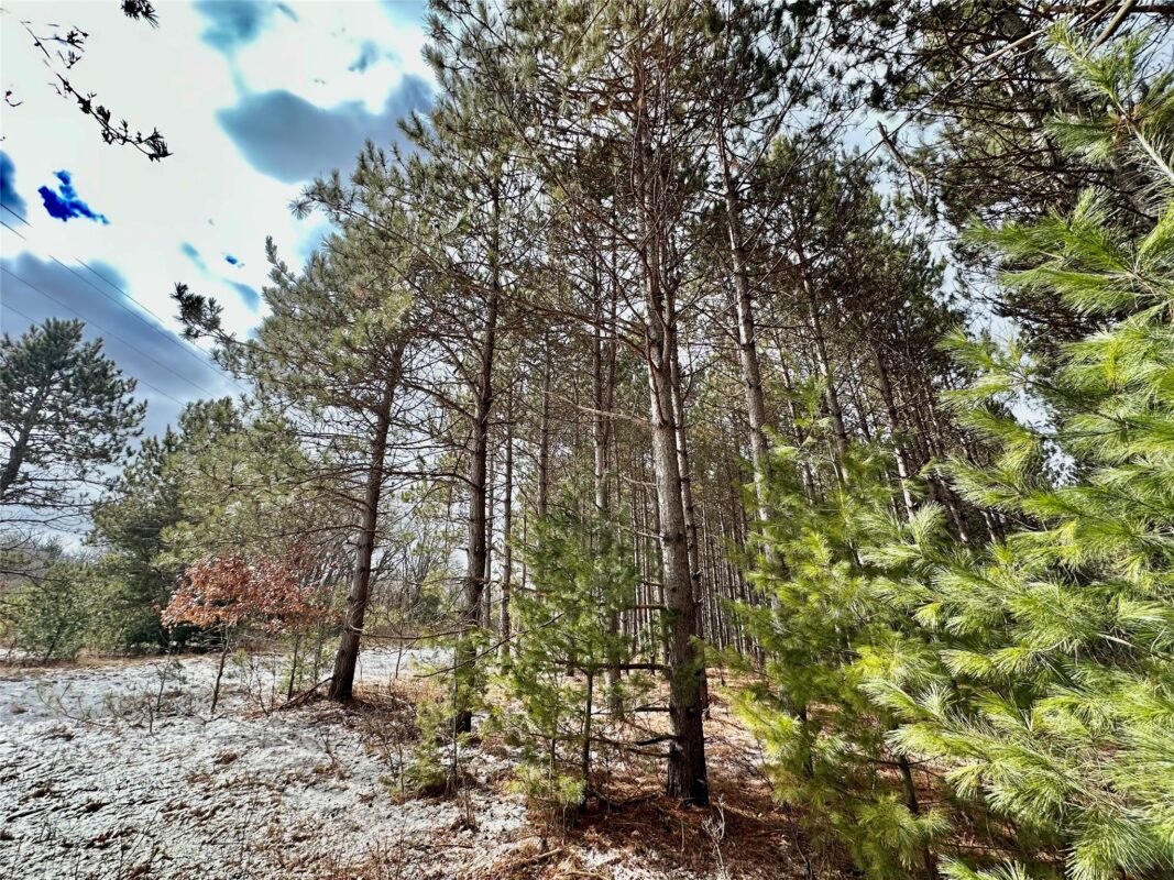 TBD 20 Acres 630th Street Colfax WI 54730 — photo 52