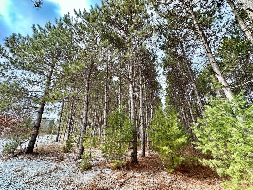 TBD 20 Acres 630th Street Colfax WI 54730 — photo 55