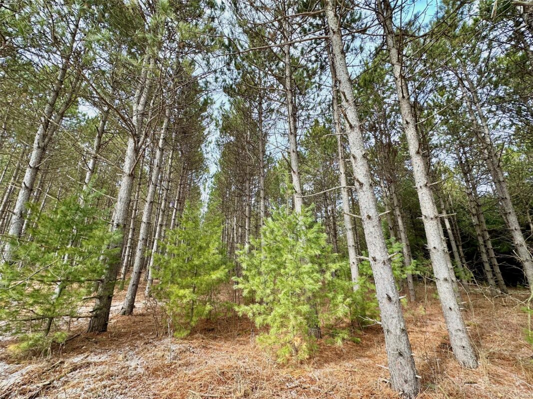 TBD 20 Acres 630th Street Colfax WI 54730 — photo 56