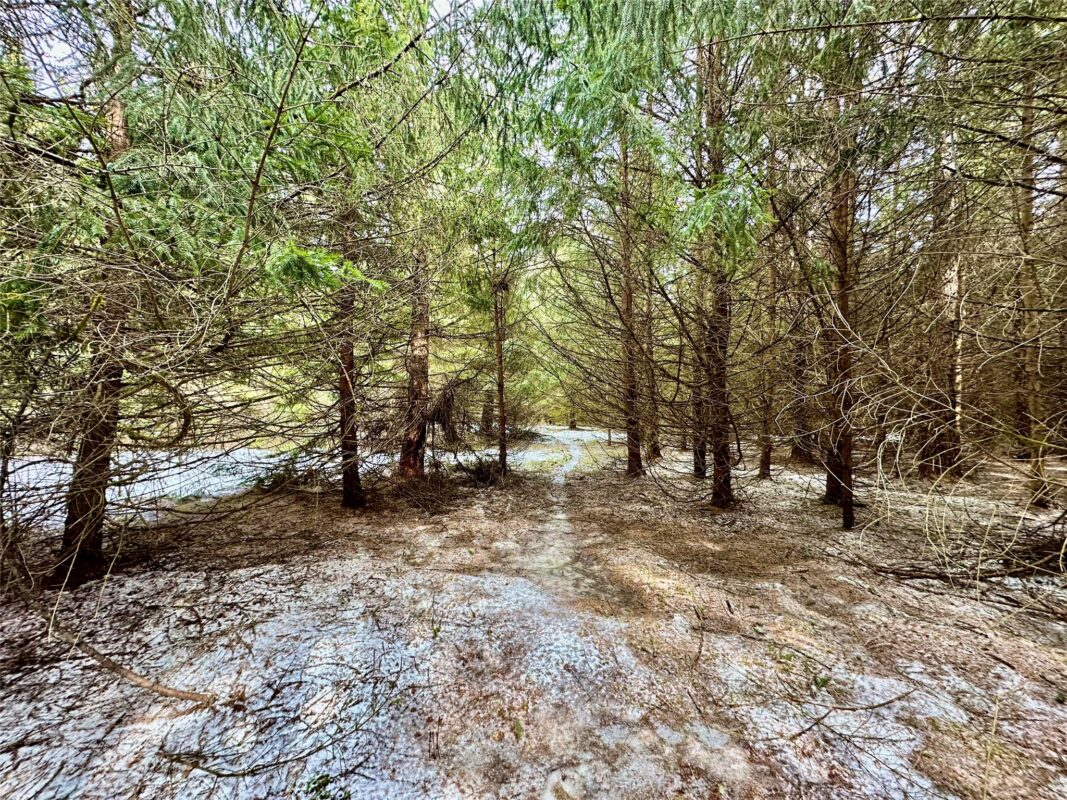 TBD 20 Acres 630th Street Colfax WI 54730 — photo 59