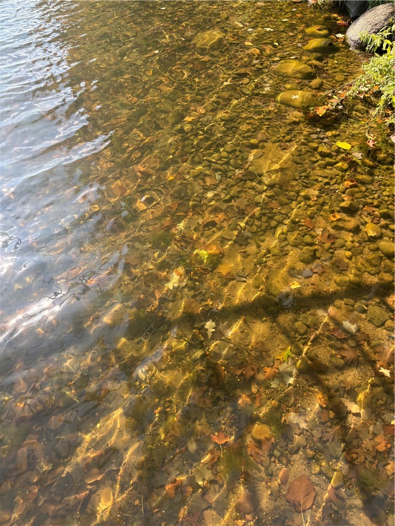 W783 County Highway D, Birchwood, WI