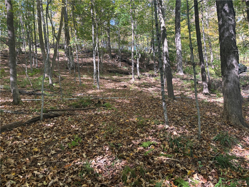 W783 County Highway D, Birchwood, WI