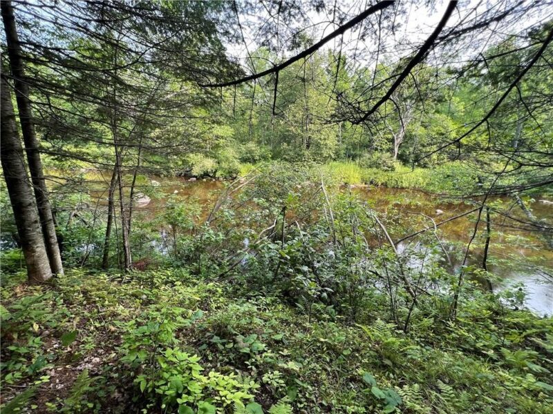 W8804 Timber Trail E