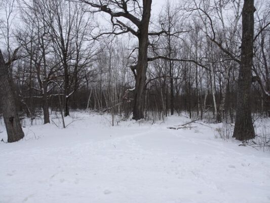 XXX 150th Street Milltown WI 54858 — photo 1