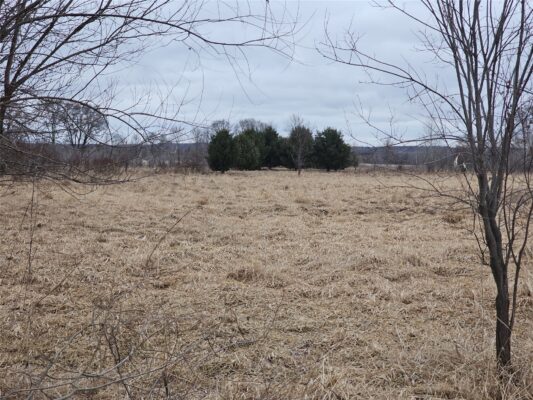 XXX 994th Avenue Boyceville WI 54725 — photo 1