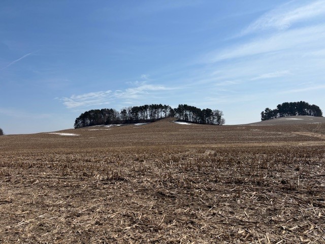 XXX Halama Road, Independence, WI — photo 10