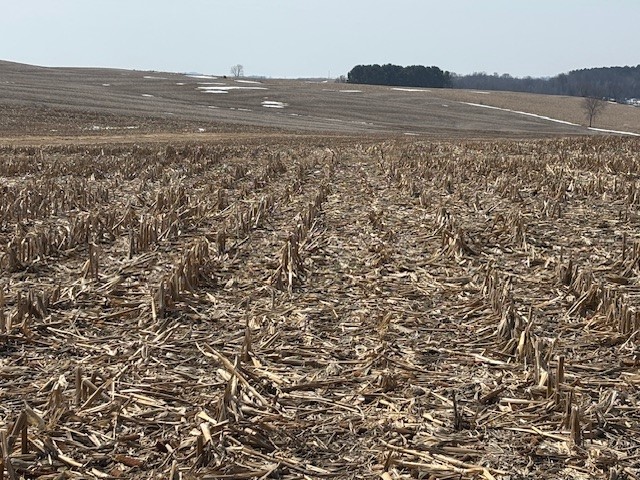 XXX Halama Road, Independence, WI — photo 12