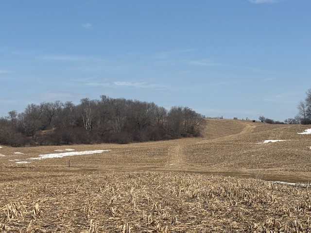 XXX Halama Road, Independence, WI — photo 13