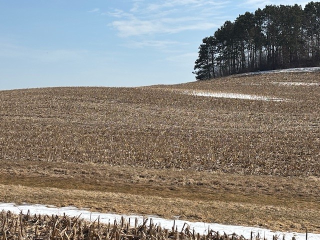 XXX Halama Road, Independence, WI — photo 14