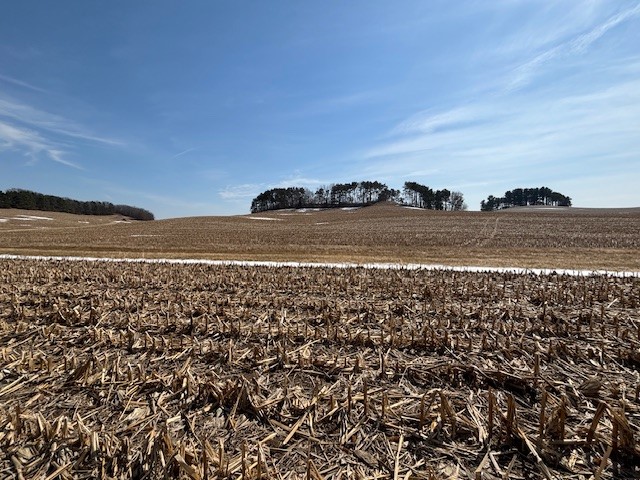 XXX Halama Road, Independence, WI — photo 15