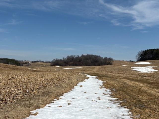 XXX Halama Road, Independence, WI — photo 16