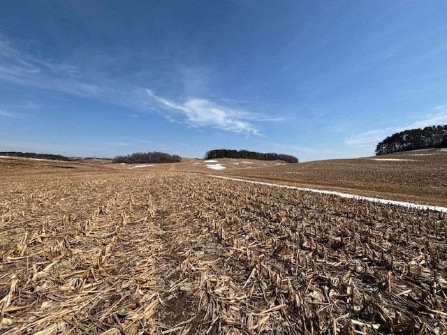 XXX Halama Road, Independence, WI — photo 8