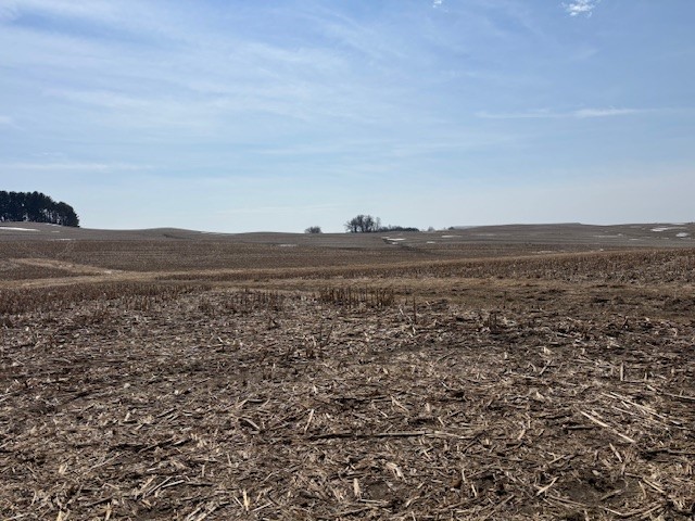 XXX Halama Road, Independence, WI — photo 9