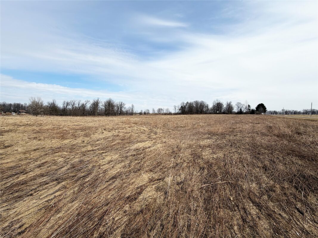 Land at 0 15 1/2 Avenue, Almena, WI 54805 — photo 5