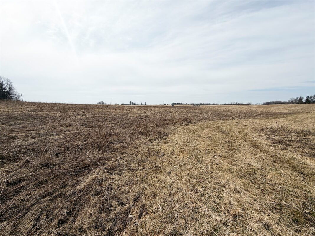 Land at 0 15 1/2 Avenue, Almena, WI 54805 — photo 6