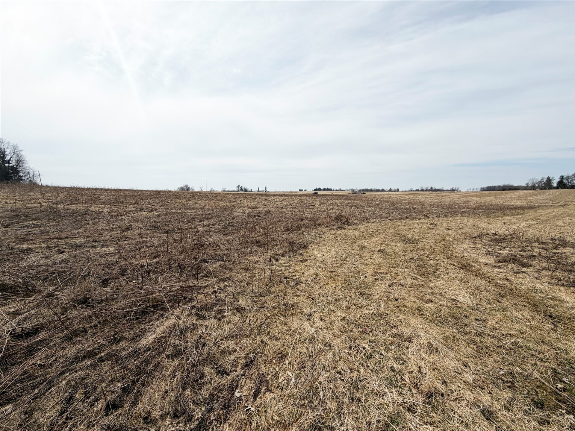 Land at 0 15 1/2 Avenue, Almena, WI 54805 — photo 6