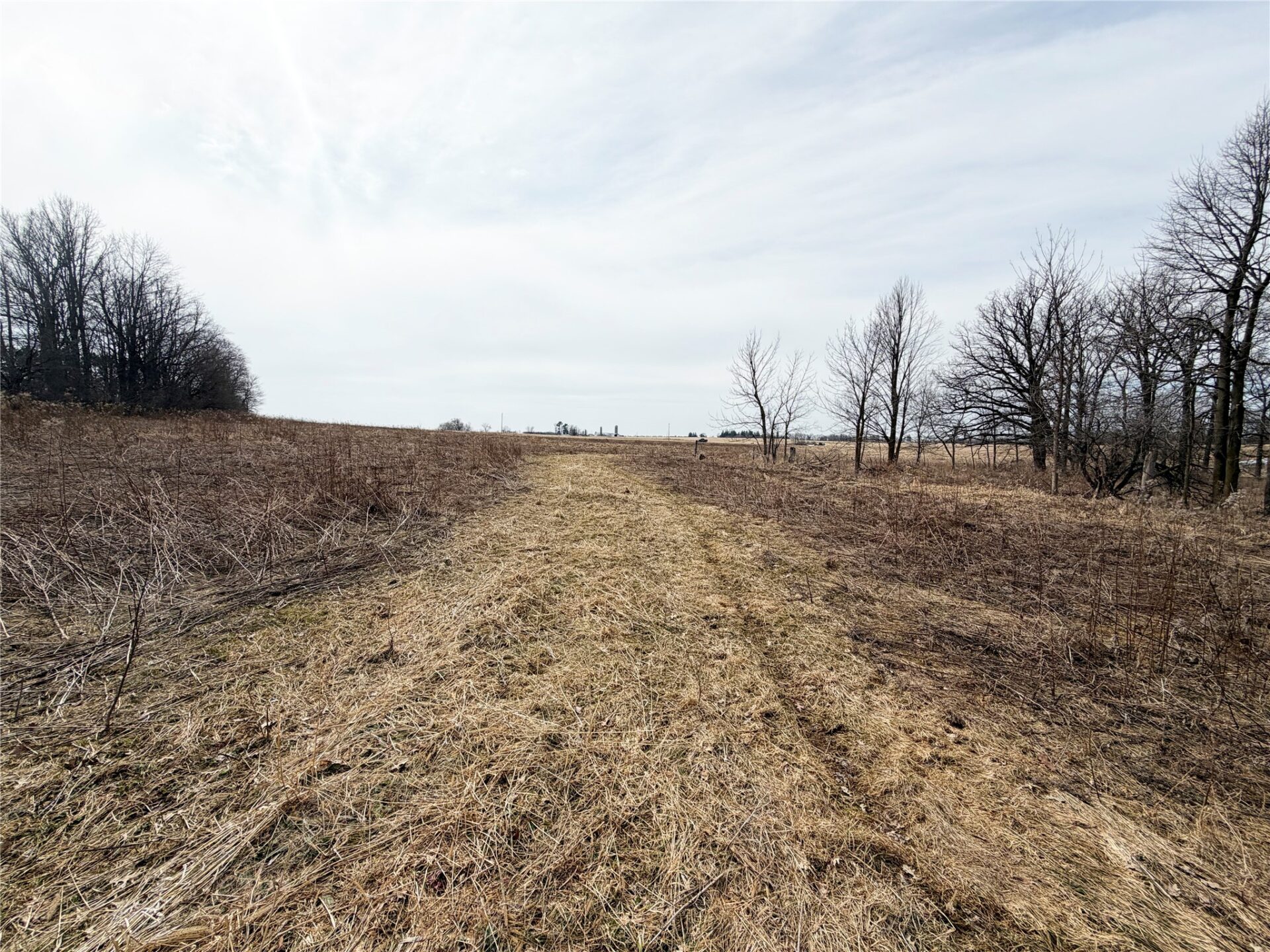 Land at 0 15 1/2 Avenue, Almena, WI 54805 — photo 7