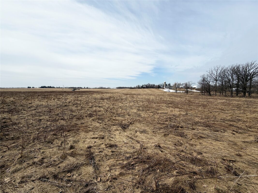 Land at 0 15 1/2 Avenue, Almena, WI 54805 — photo 8