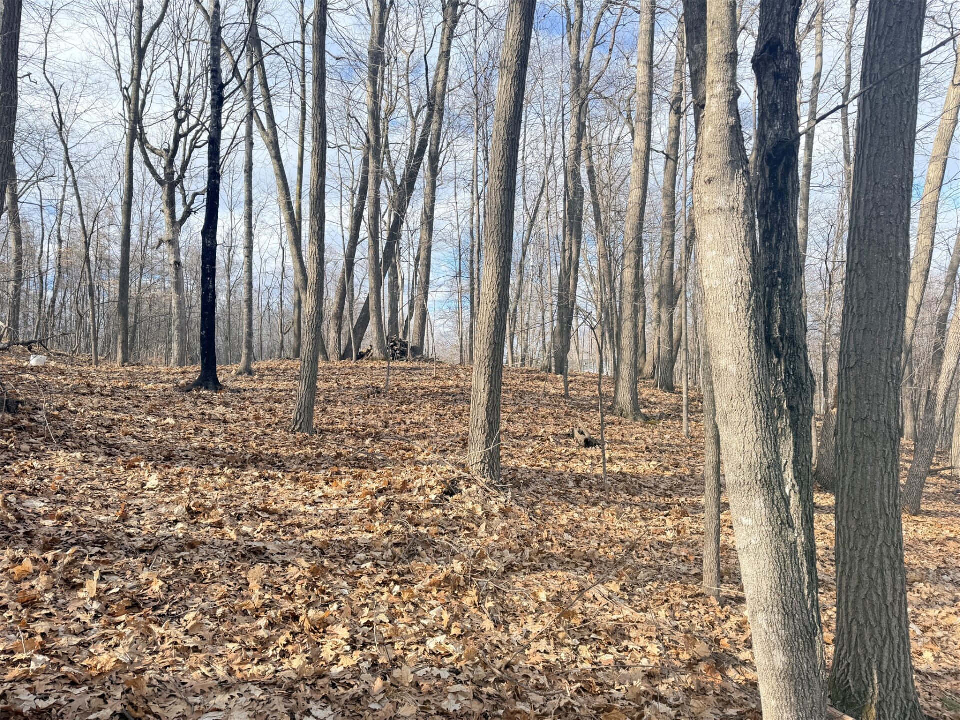 Residential at 0 216th Street, Luck, WI 54853 — photo 11