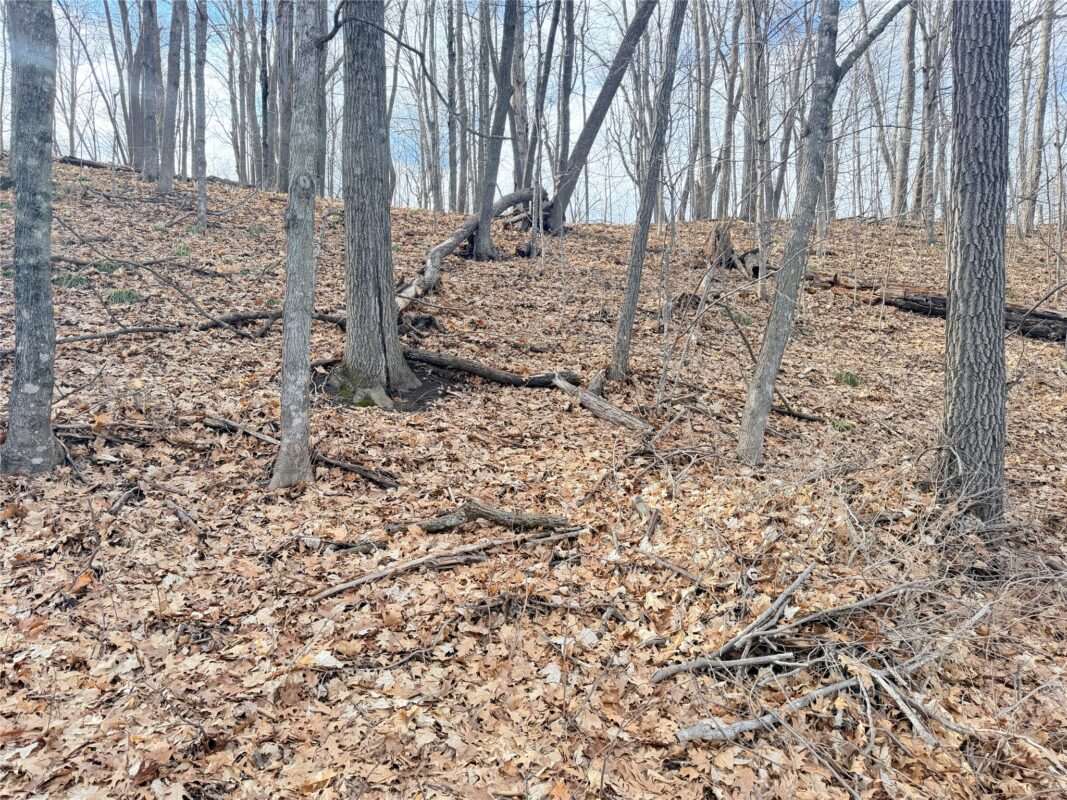Residential at 0 216th Street, Luck, WI 54853 — photo 12