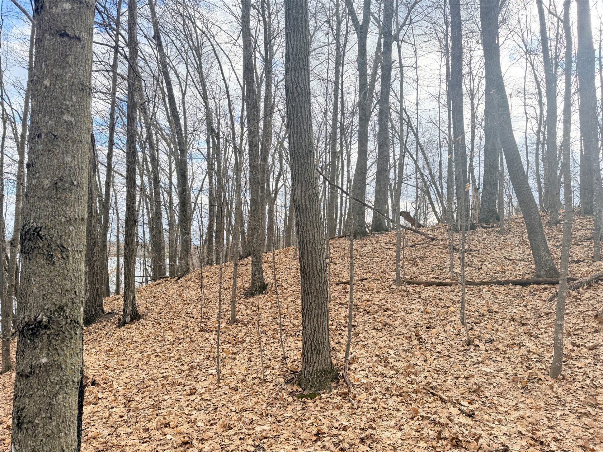 Residential at 0 216th Street, Luck, WI 54853 — photo 14