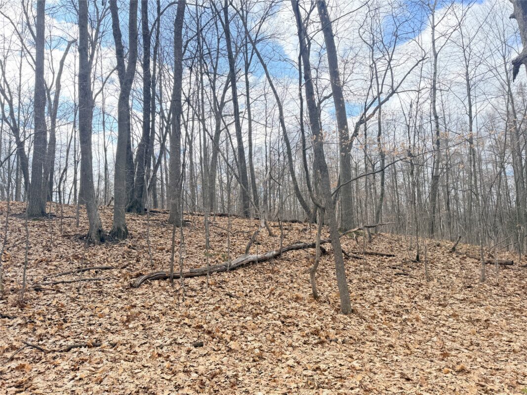 Residential at 0 216th Street, Luck, WI 54853 — photo 15