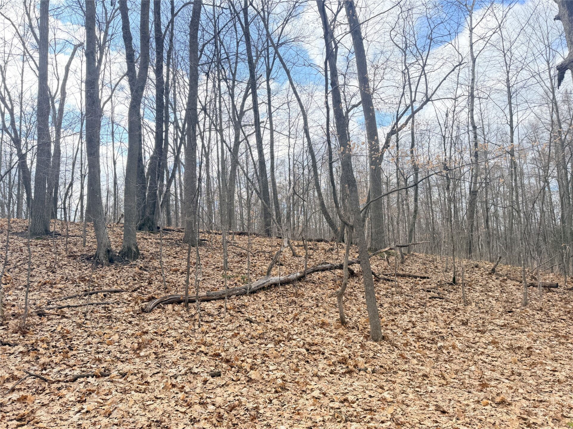 Residential at 0 216th Street, Luck, WI 54853 — photo 15