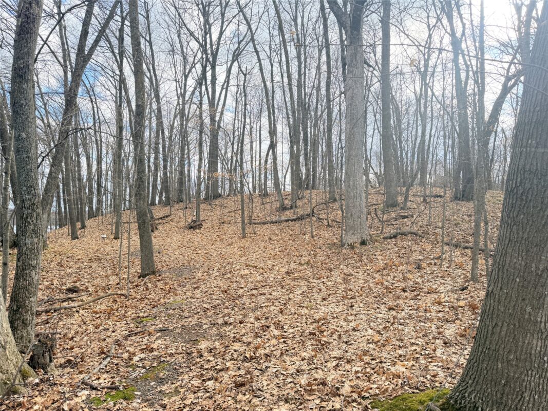 Residential at 0 216th Street, Luck, WI 54853 — photo 17