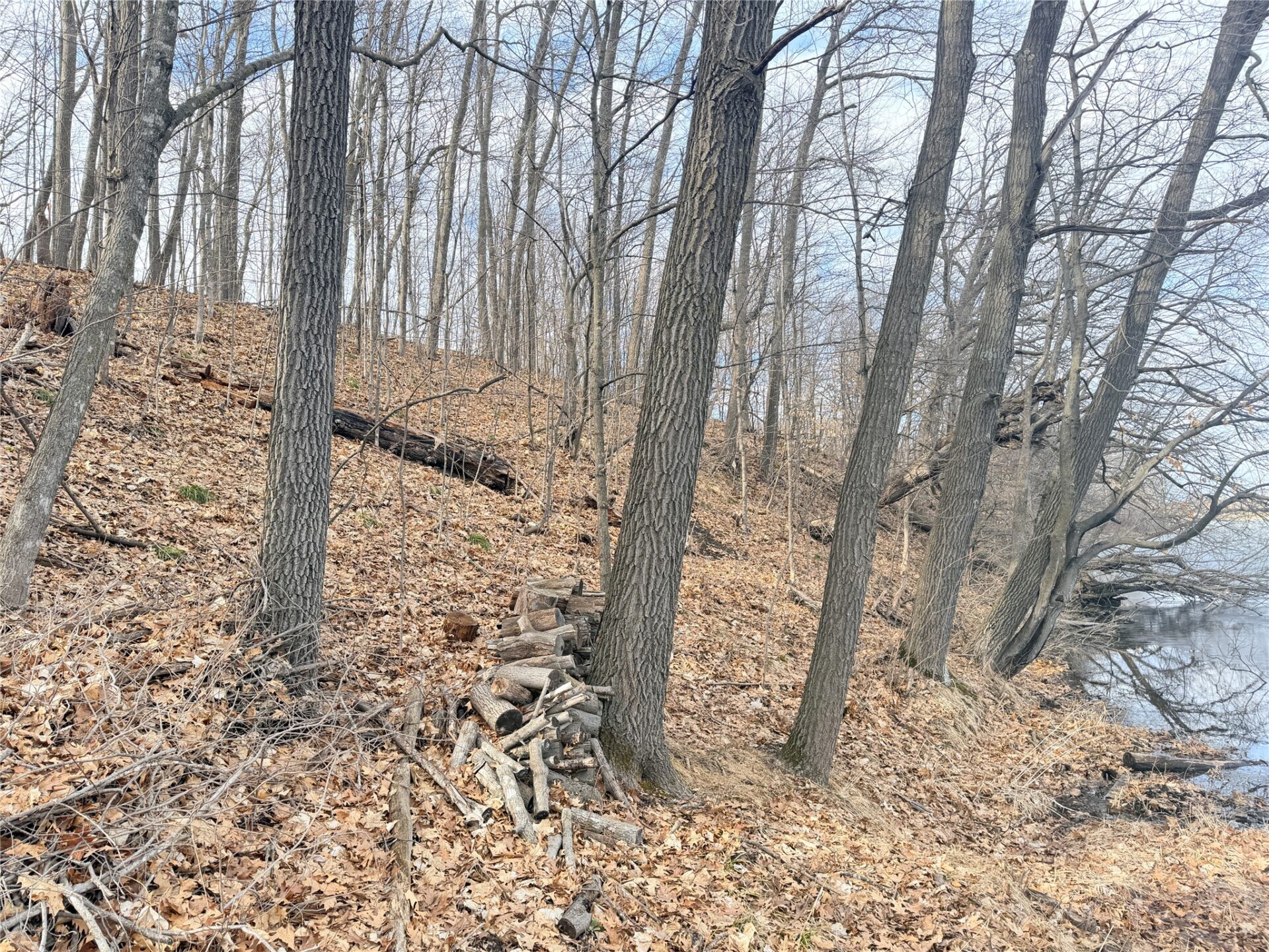 Residential at 0 216th Street, Luck, WI 54853 — photo 5