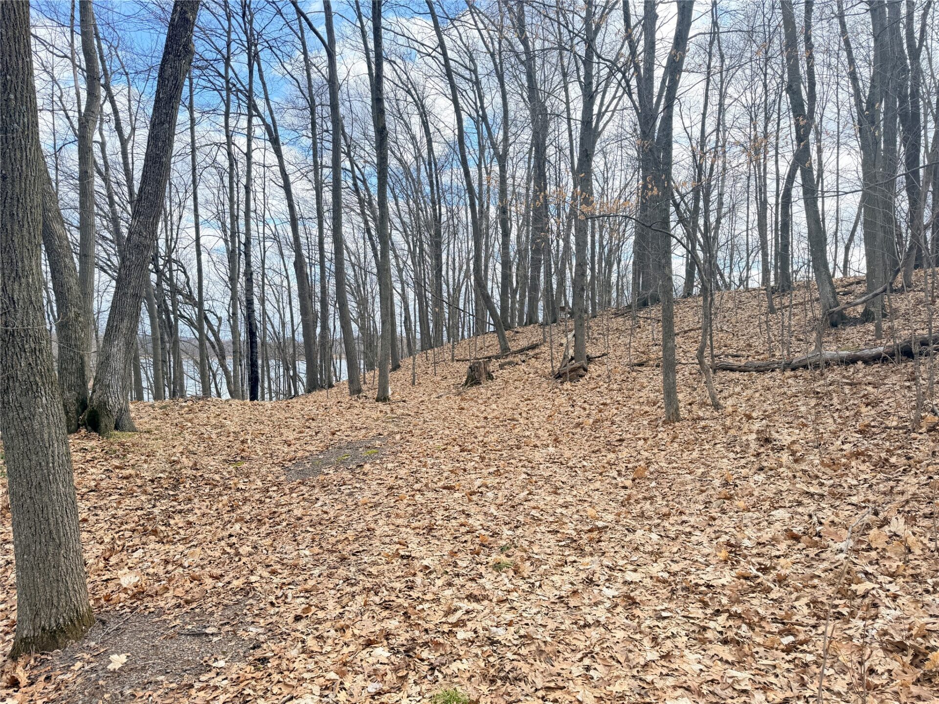 Residential at 0 216th Street, Luck, WI 54853 — photo 6