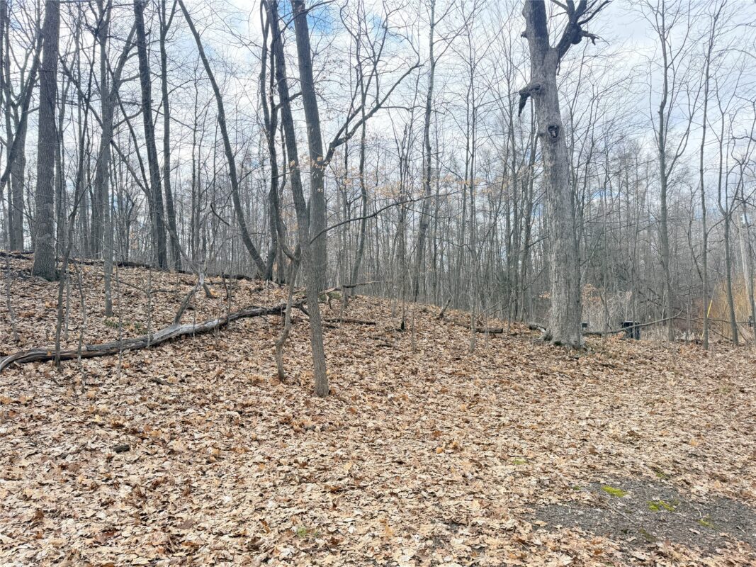 Residential at 0 216th Street, Luck, WI 54853 — photo 9