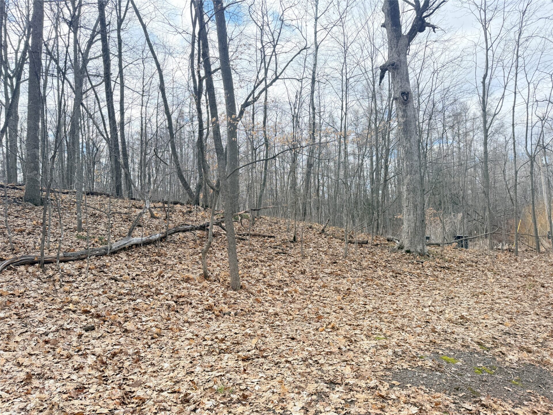 Residential at 0 216th Street, Luck, WI 54853 — photo 9