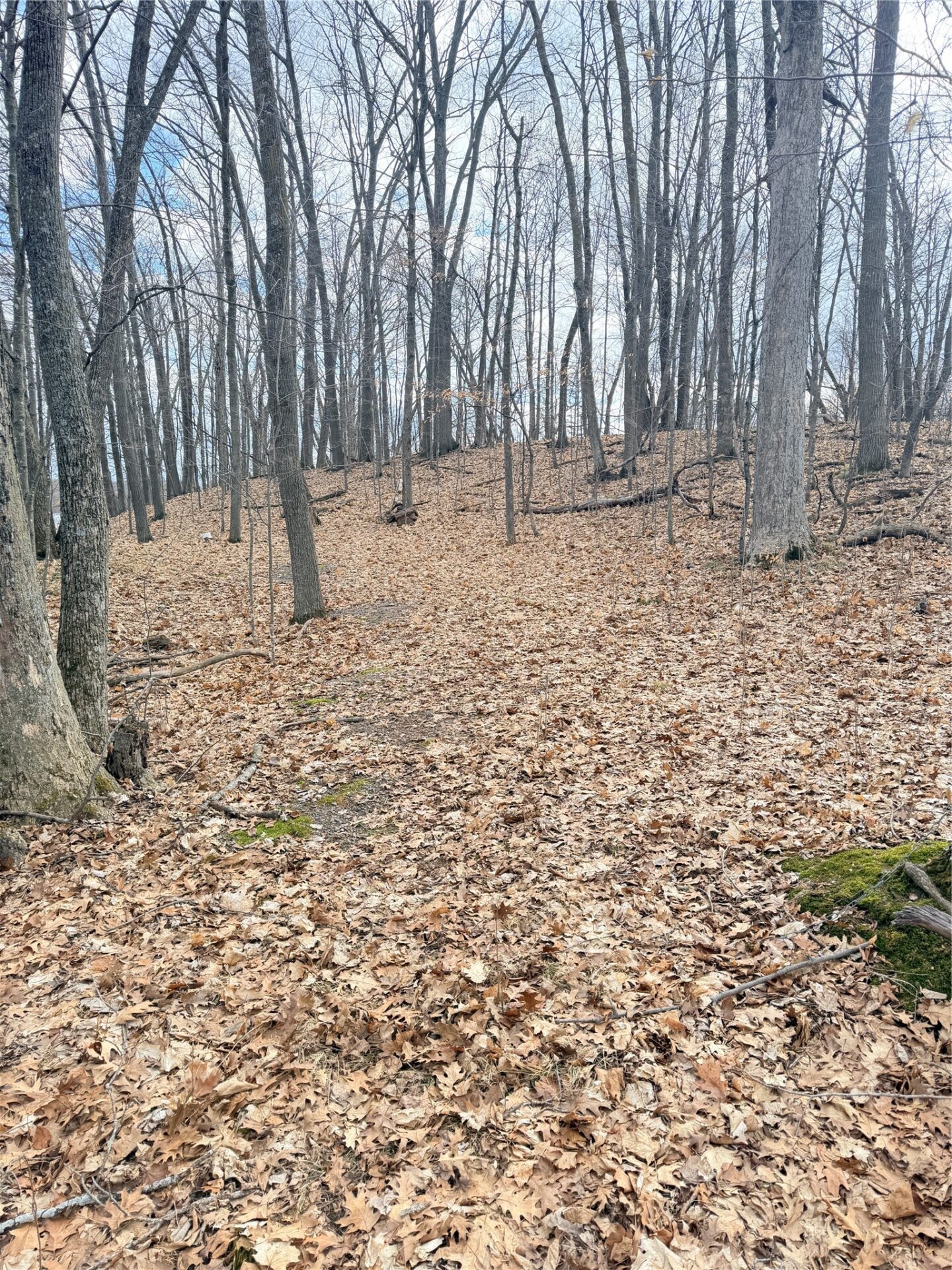 Residential at 0 216th Street, Luck, WI 54853 — photo 10