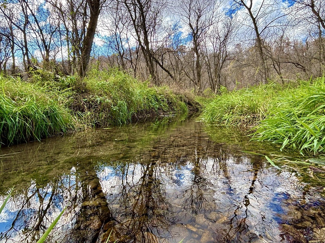 Land at 0 265th Avenue, Plum City, WI 54761 — photo 14