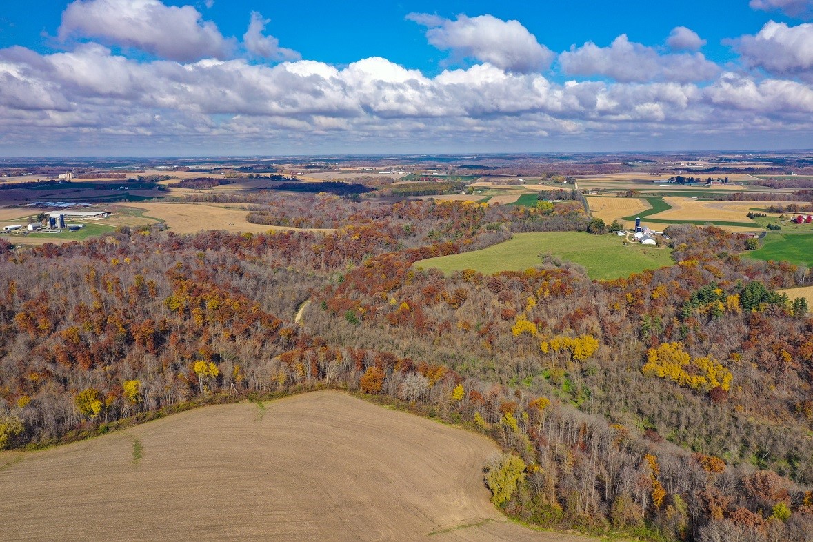 Land at 0 265th Avenue, Plum City, WI 54761 — photo 16