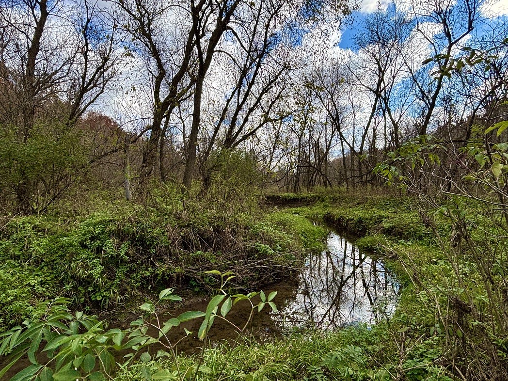 Land at 0 265th Avenue, Plum City, WI 54761 — photo 17