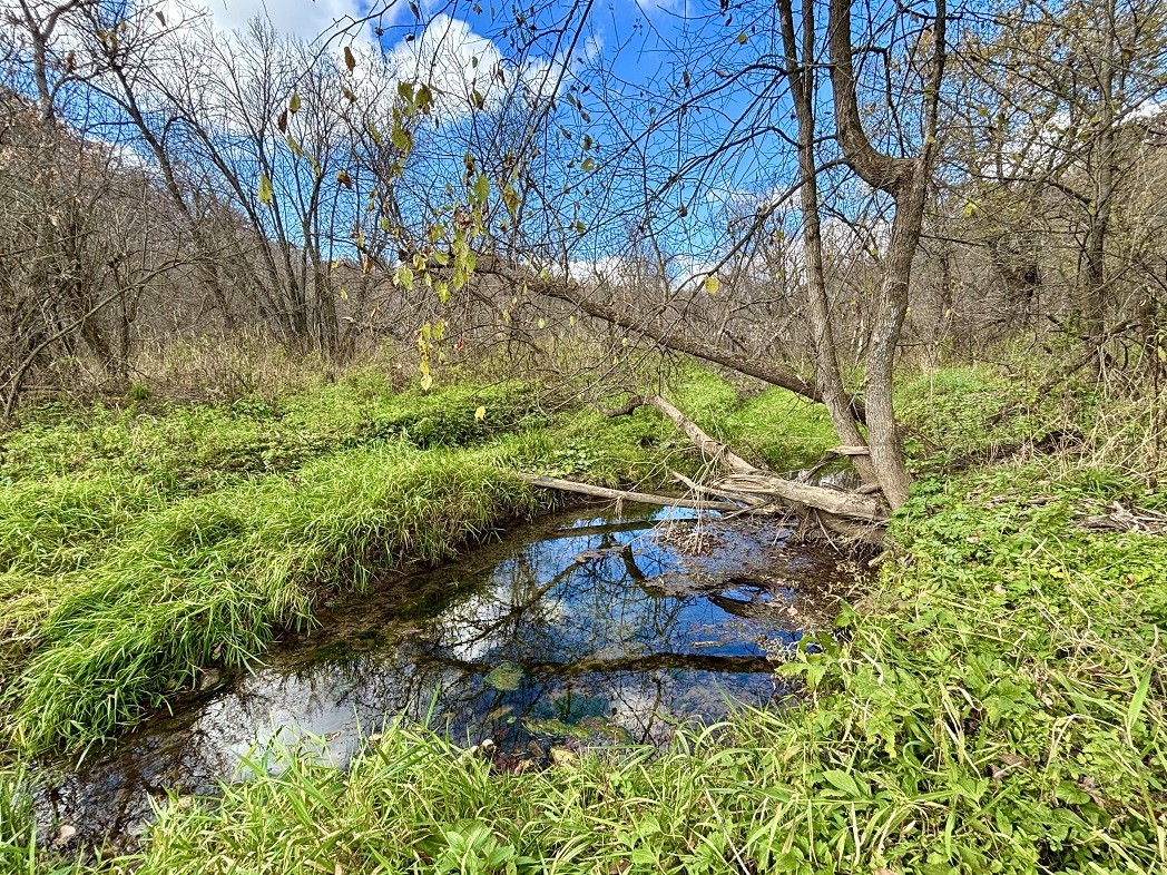 Land at 0 265th Avenue, Plum City, WI 54761 — photo 21