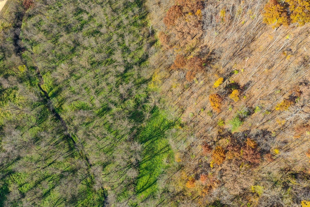 Land at 0 265th Avenue, Plum City, WI 54761 — photo 22