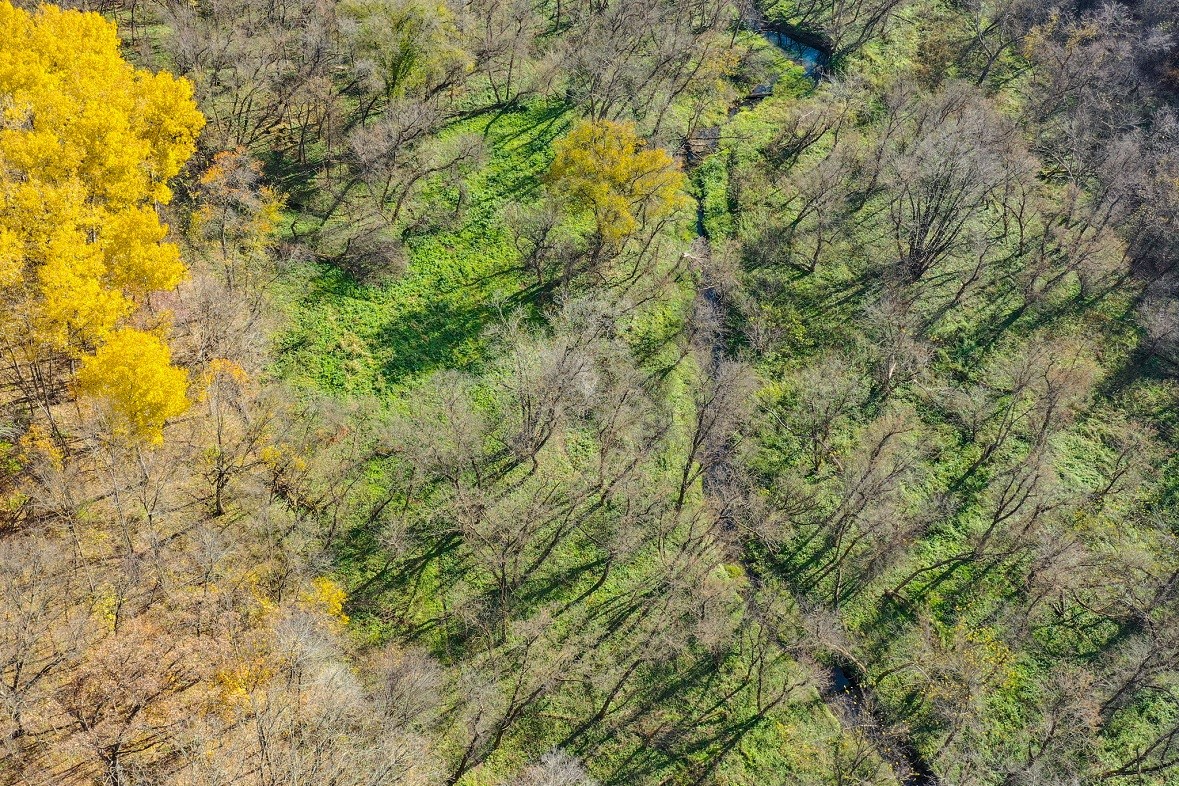 Land at 0 265th Avenue, Plum City, WI 54761 — photo 24