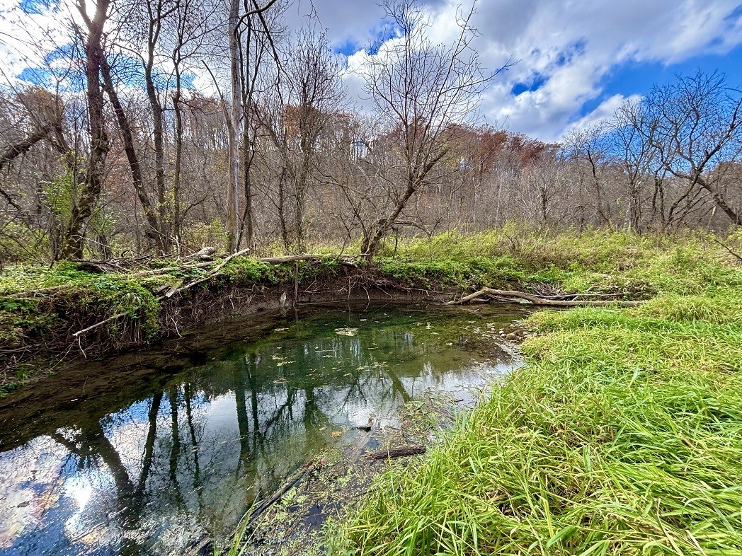 Land at 0 265th Avenue, Plum City, WI 54761 — photo 26
