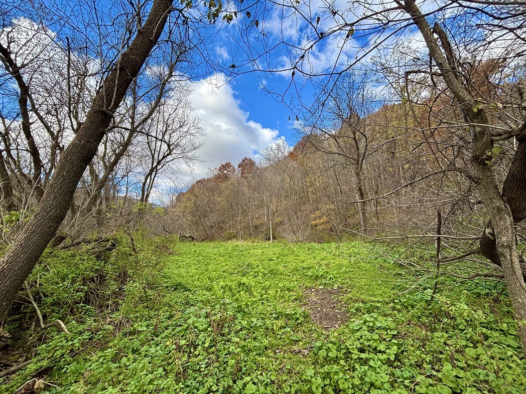 Land at 0 265th Avenue, Plum City, WI 54761 — photo 27