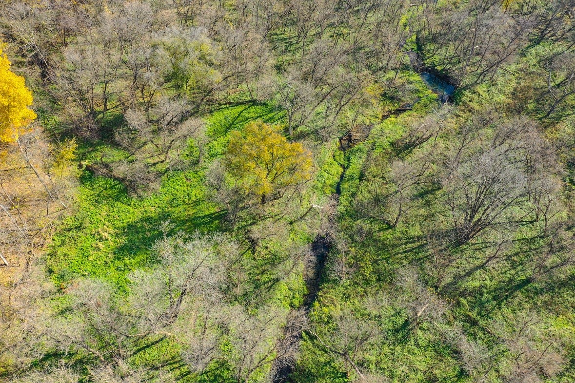 Land at 0 265th Avenue, Plum City, WI 54761 — photo 28