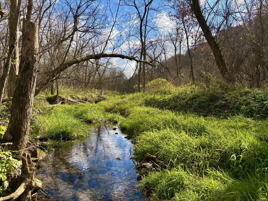 Land at 0 265th Avenue, Plum City, WI 54761 — photo 29
