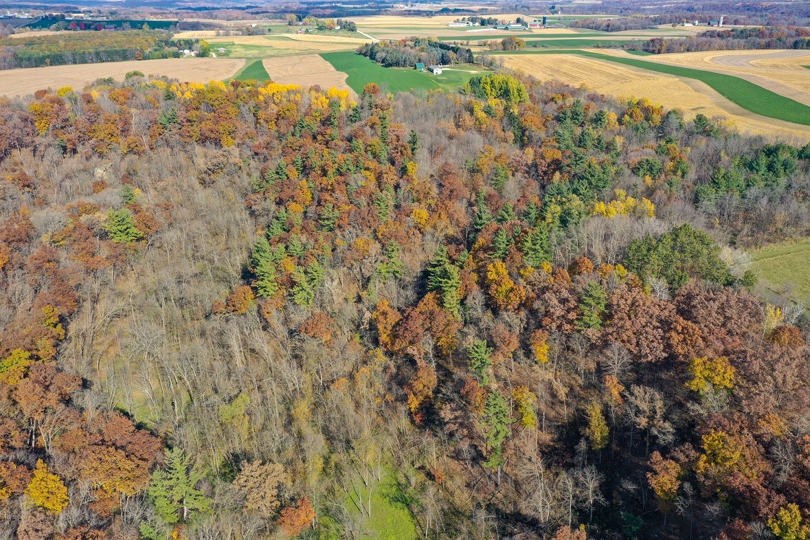 Land at 0 265th Avenue, Plum City, WI 54761 — photo 3