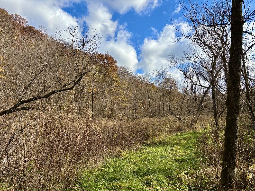 Land at 0 265th Avenue, Plum City, WI 54761 — photo 31