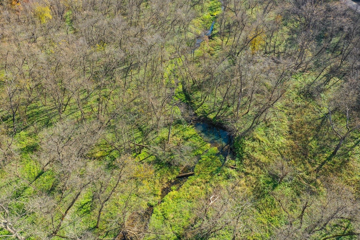 Land at 0 265th Avenue, Plum City, WI 54761 — photo 32