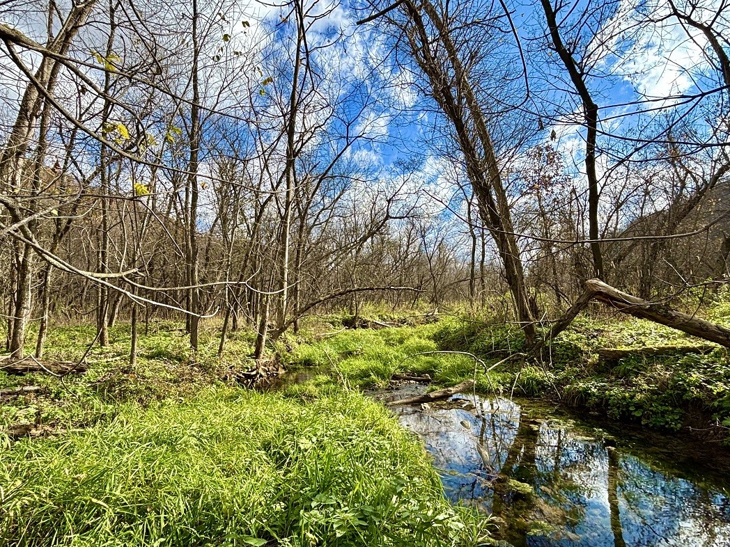 Land at 0 265th Avenue, Plum City, WI 54761 — photo 33
