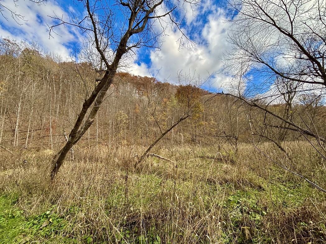 Land at 0 265th Avenue, Plum City, WI 54761 — photo 36