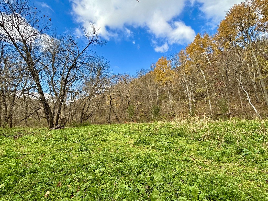 Land at 0 265th Avenue, Plum City, WI 54761 — photo 37