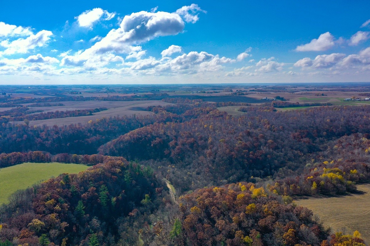 Land at 0 265th Avenue, Plum City, WI 54761 — photo 4